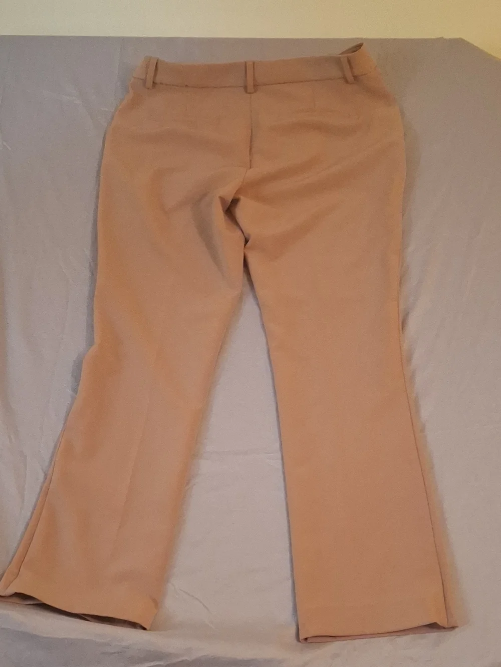 Express Women’s Beige Solid Editor Dress Pants Bootcut Mid Rise Stretch 12R - Picture 5 of 8